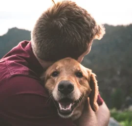 Pet Loss Coach Training Online: Guiding Compassion Through Healing