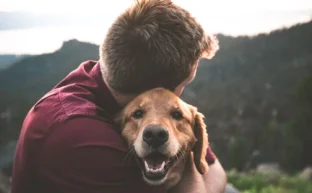 Pet Loss Coach Training Online Guiding Compassion Through Healing
