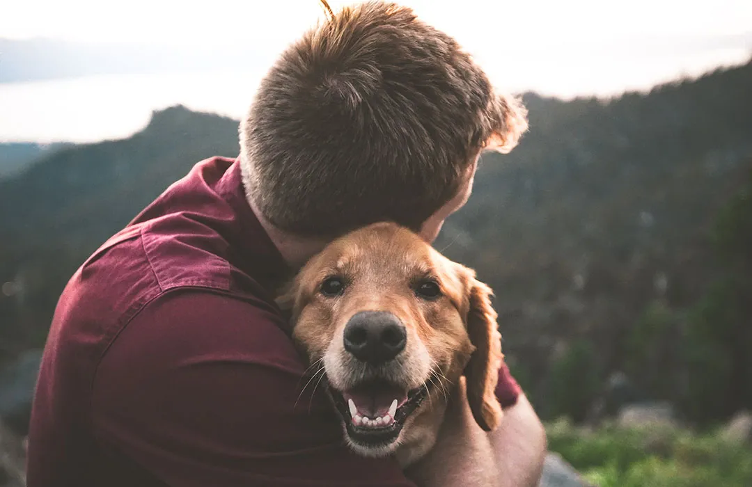 Pet Loss Coach Training Online Guiding Compassion Through Healing