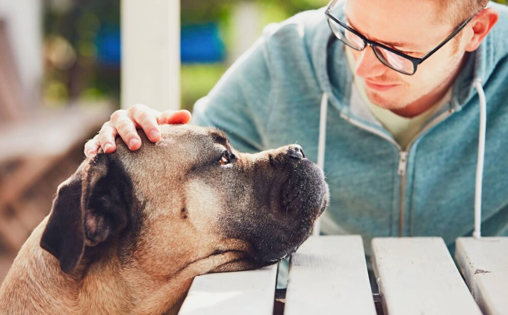 Pet Loss Counseling Certification – Building a Career in Compassionate Support