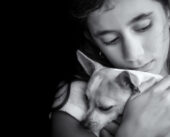 Navigating the Path to Pet Loss Counseling Certification: A Comprehensive Guide