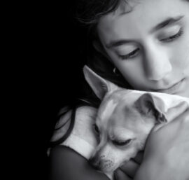 Navigating the Path to Pet Loss Counseling Certification: A Comprehensive Guide